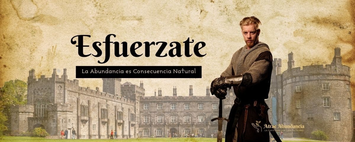 Diagrama de crecimiento de raíces de bambú